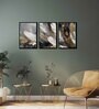 Feather Multicolour Canvas & MDF (Set of 3) Framed Art Panels