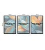 Feather Multicolour Canvas & MDF (Set of 3) Framed Art Panels