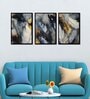 Feather Multicolour Canvas & MDF (Set of 3) Framed Art Panels