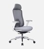 Fedo Breathable Mesh  Ergonomic Chair In Grey Colour