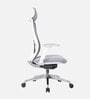 Fedo Breathable Mesh  Ergonomic Chair In Grey Colour