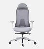 Fedo Breathable Mesh  Ergonomic Chair In Grey Colour