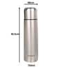 Bullet Silver 750 ml Stainless Steel Water Bottle