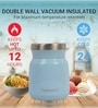 Sky Bule 300ml Stainless Steel Double Walled Insulated Thermos for  Hot Food