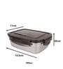 Femora Stainless Steel Container Multipurpose Lunch Box Set for Office, Green, Rectangle-350 ml (2 Container).