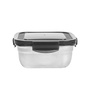 Femora Stainless Steel Container Multipurpose Lunch Box Set for Office, Green, Square-350 ml (3 Container).