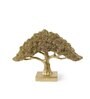 Feng Shui Bonsai Brilliance Gift Box