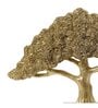 Feng Shui Bonsai Brilliance Gift Box