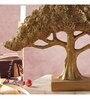 Feng Shui Bonsai Brilliance Gift Box
