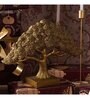 Feng Shui Bonsai Brilliance Gift Box