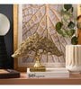 Feng Shui Bonsai Brilliance Gift Box
