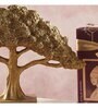 Feng Shui Bonsai Brilliance Gift Box