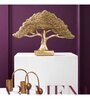 Feng Shui Bonsai Brilliance Gift Box