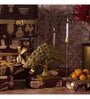 Feng Shui Bonsai Brilliance Gift Box