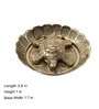 Feng Shui Tortoise for Longevity, Protection, and Prosperity