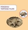 Feng Shui Tortoise for Longevity, Protection, and Prosperity