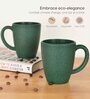 Fern Classic Coffee Mug 300 ml (1 Pc)Rice Husk Biocomposite