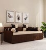 Fern Queen Sized Pull-Out Sofa Cum Bed With Box Storage In Brown Finish