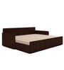 Fern Queen Sized Pull-Out Sofa Cum Bed With Box Storage In Brown Finish
