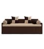 Fern Queen Sized Pull-Out Sofa Cum Bed With Box Storage In Brown Finish