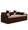 Fern Queen Sized Pull-Out Sofa Cum Bed With Box Storage In Brown Finish