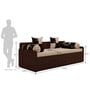 Fern Queen Sized Pull-Out Sofa Cum Bed With Box Storage In Brown Finish