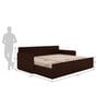 Fern Queen Sized Pull-Out Sofa Cum Bed With Box Storage In Brown Finish