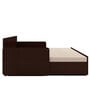 Fern Queen Sized Pull-Out Sofa Cum Bed With Box Storage In Brown Finish
