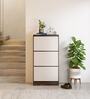 Fernando Shoe Cabinet In Walnut Brown Colour