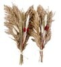 Festive Bloom Dried Flowers 2 Bunches