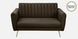 Fidel Chenille Fabric 2 Seater Sofa in Brown Colour