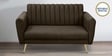 Fidel Chenille Fabric 2 Seater Sofa in Brown Colour