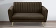 Fidel Chenille Fabric 2 Seater Sofa in Brown Colour