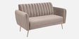 Fidel Chenille Fabric 2 Seater Sofa in Sandy Brown Colour