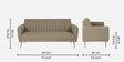 Fidel Chenille Fabric 3 Seater Sofa in Beige Colour