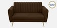 Fidel Velvet 2 Seater Sofa in Brown Colour