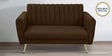 Fidel Velvet 2 Seater Sofa in Brown Colour