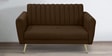 Fidel Velvet 2 Seater Sofa in Brown Colour