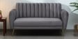 Fidel Velvet 2 Seater Sofa In Fossil Grey Colour