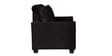 Fiesta 2 Seater Sofa in Black Colour