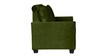 Fiesta 2 Seater Sofa in Green Colour