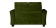Fiesta 2 Seater Sofa in Green Colour