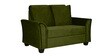 Fiesta 2 Seater Sofa in Green Colour