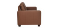 Finly 2 Seater Sofa In Brown Colour