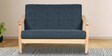 Fiona 2 Seater Sofa in Blue Colour