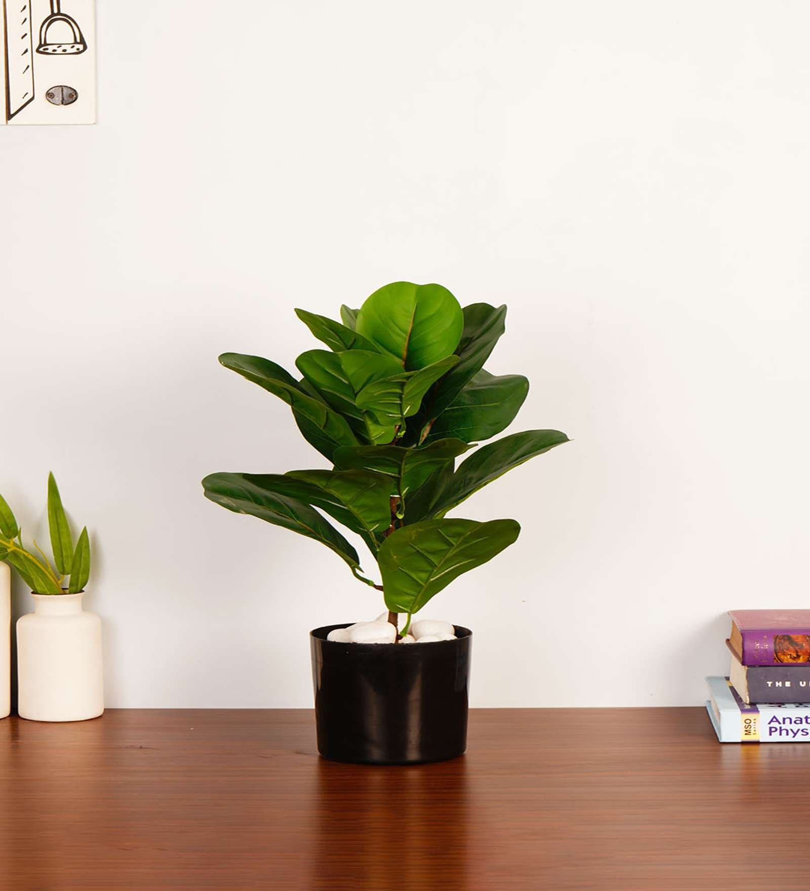Artificial Fiddle Leaf Fig Plant with Black Pot