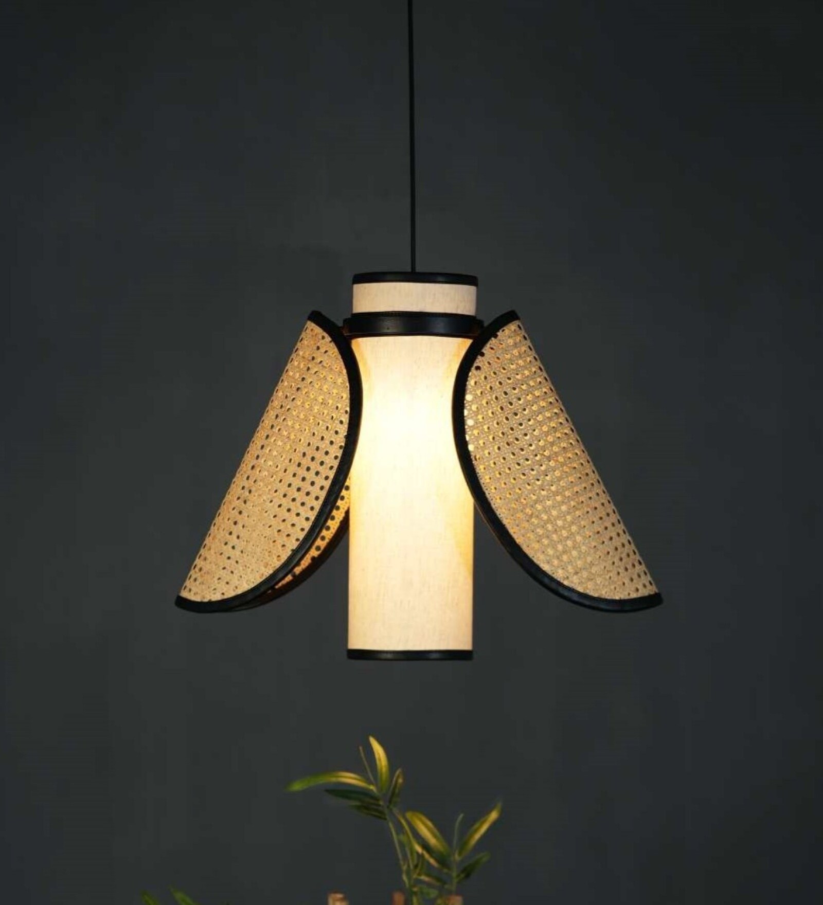 Firefly Worm Unique handmade Woven Hanging Pendant Light, Natural/Cane Pendant Light