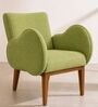 Fibo Arm Chair In Green Colour