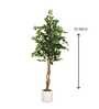 Ficus Artificial Plant