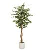 Ficus Artificial Plant Ficus Artificial Plant
